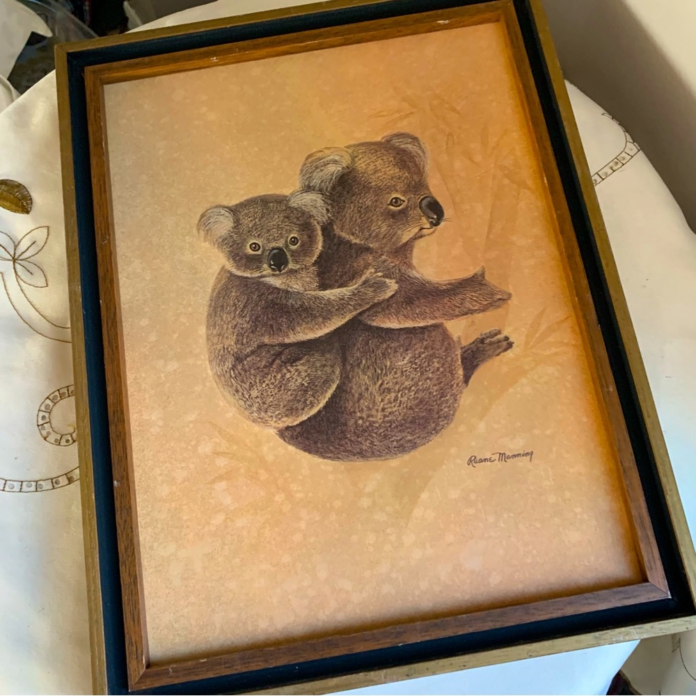 Vintage koala framed print